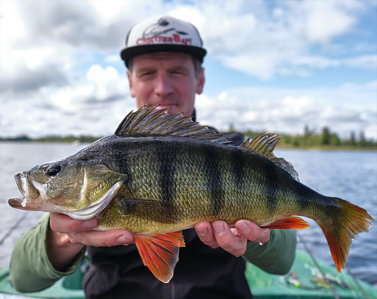 Deps Sakamata Shad 4,5''